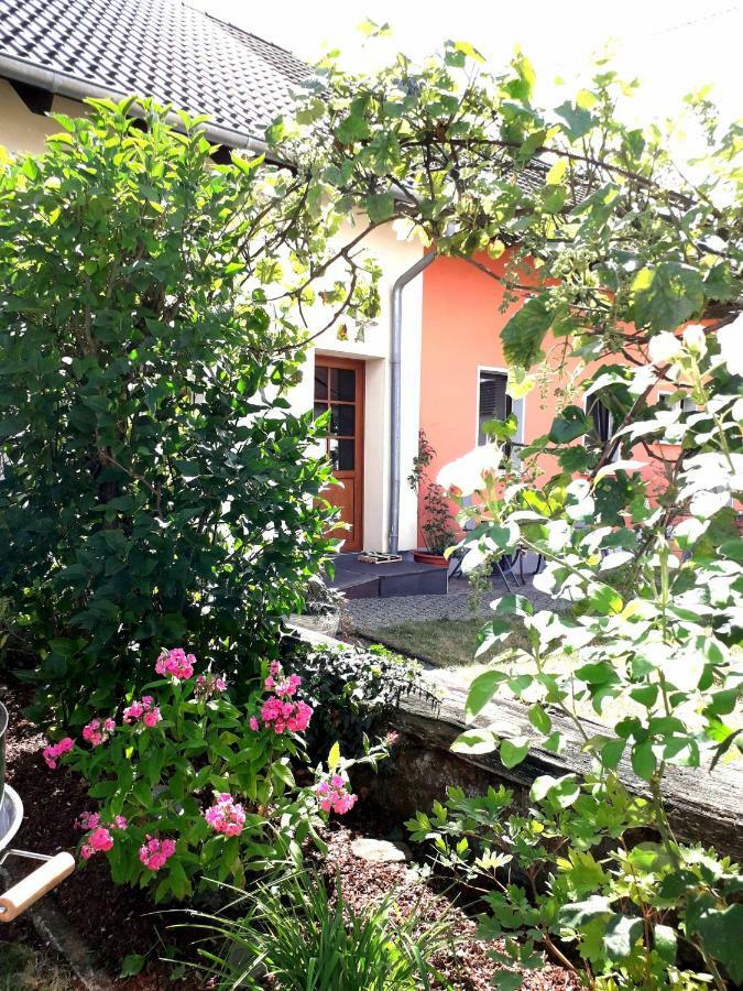 Ferienwohnung Adams Hinterweiler ภายนอก รูปภาพ